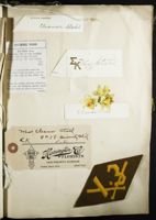 SK_Washington_Scrapbook1_Box1_008.jpg