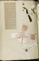 SK_Washington_Scrapbook1_Box1_046.jpg