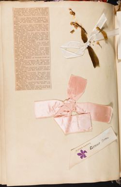 SK_Washington_Scrapbook1_Box1_046.jpg