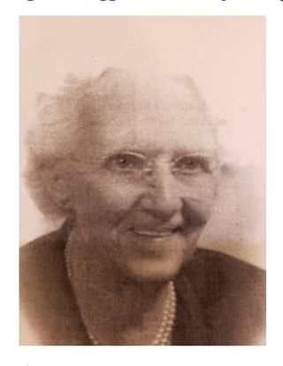 Maggie Foy's Campaign for County Recorder, 1918