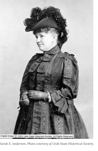 Sarah Elizabeth Nelson Anderson's Campaign for State House of Representatives, 1896