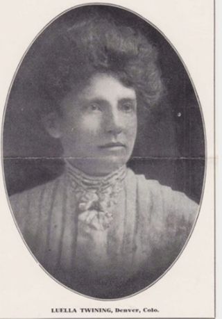 Luella Twining's Campaign for State Superintendent of Schools, 1908