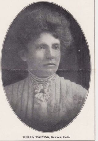 Luella Twining's Campaign for State Superintendent of Public Instruction, 1904