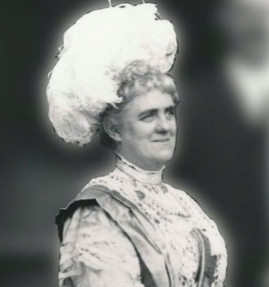Mary E. Busey's Campaign for University Trustee, 1904
