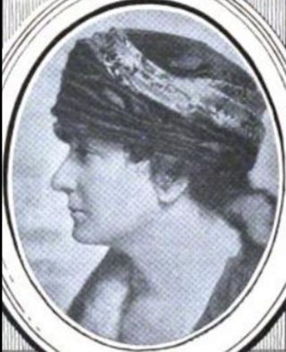 Belle Lindner Israels' Campaign for State Constitutional Convention Delegate, 1914