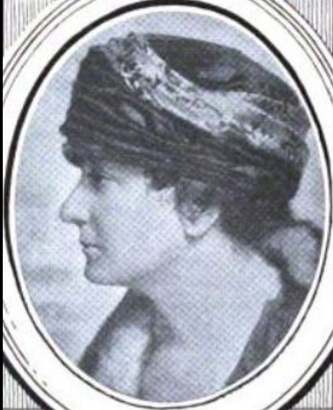 Belle Lindner Israels' Campaign for State Constitutional Convention Delegate, 1914