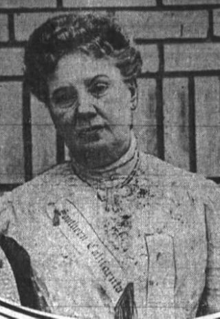 Stella B. Irvine's Campaign for Assembly Member, 1914