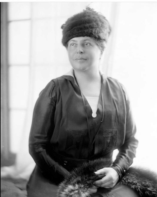 Lillian D. Wald's Campaign for State Constitutional Convention Delegate, 1914