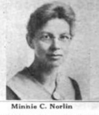 Minnie Norlin's Campaign for County Superintendent of Public Instruction, 1918