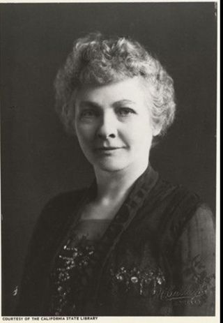Anna L. Saylor's Campaign for State Assembly Representative, 1918