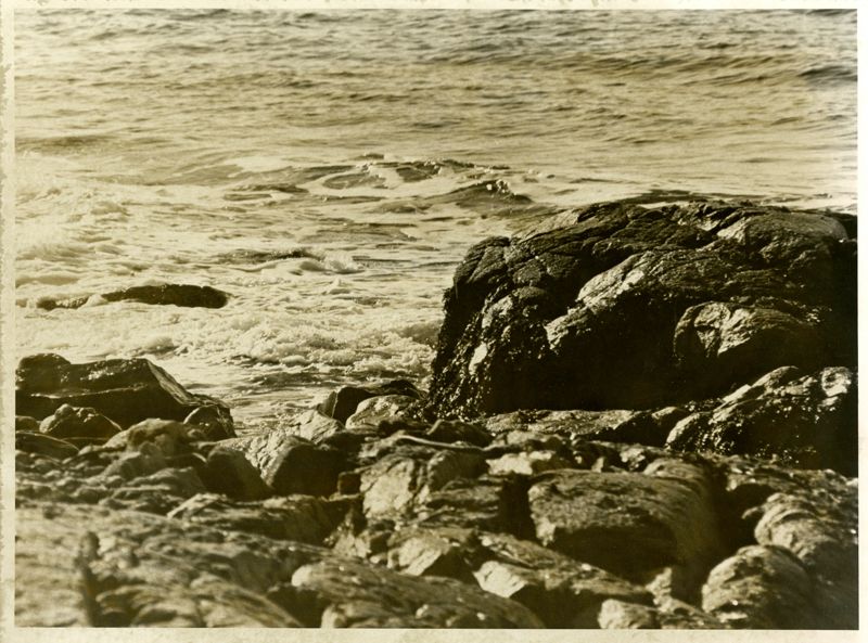 Arden's Garden Photographs