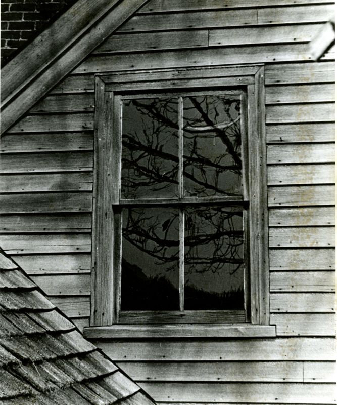 Ned and Nell Photographs