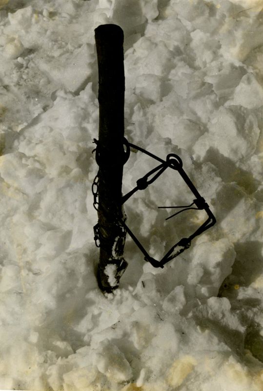 Trapping Photographs