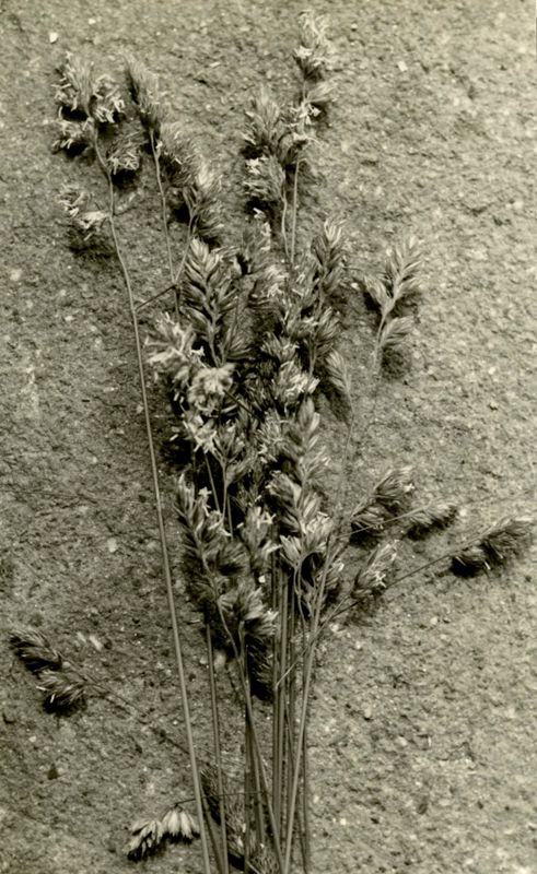 Setting on His Independence Photographs