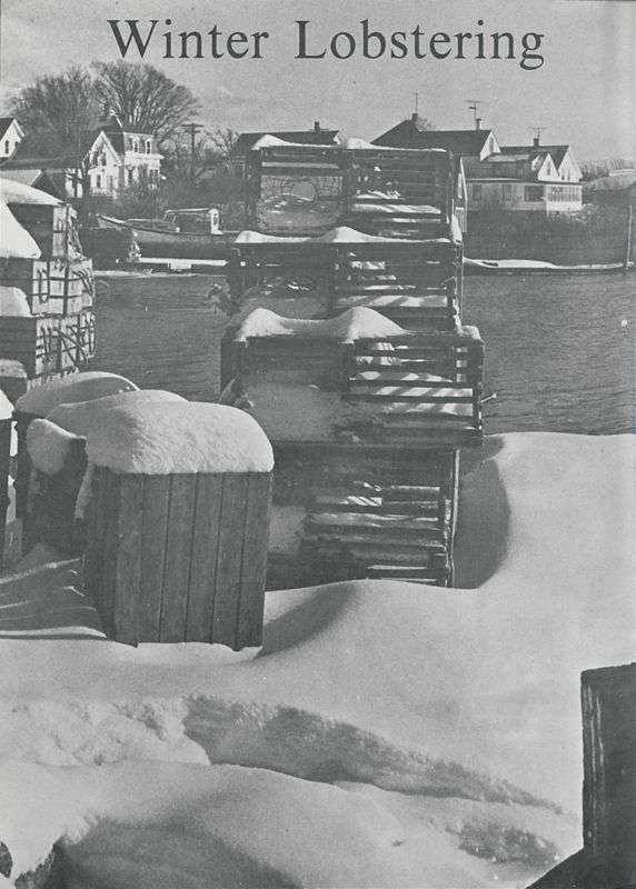 Winter Lobstering in the De-Dee-Mee