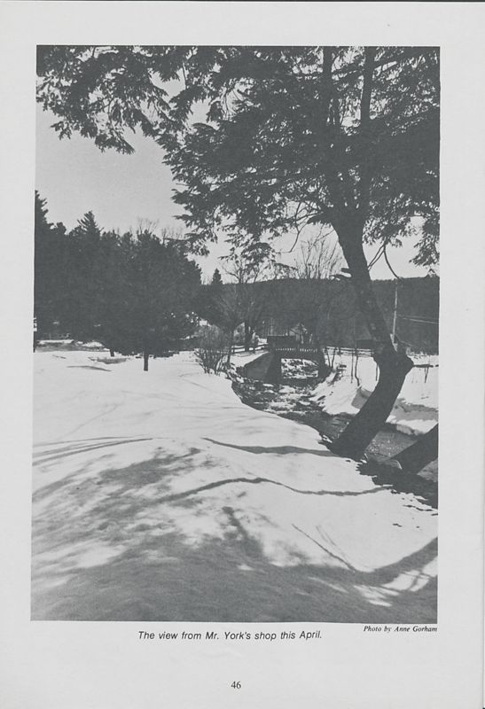 Steps in Making a SnowShoe