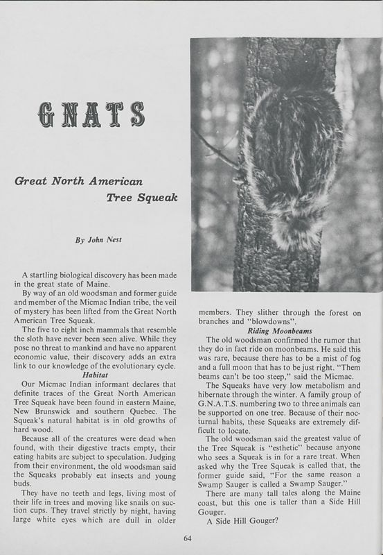 Gnats: The Great North American Tree Squeak