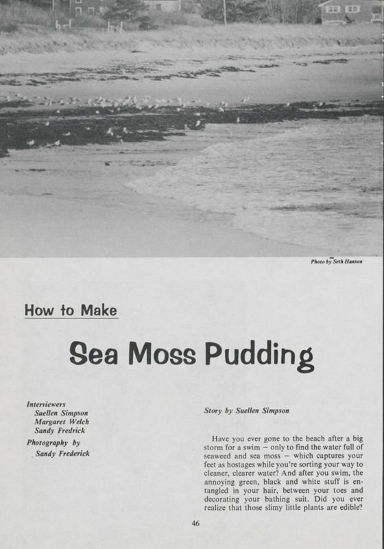 How to Make Sea Moss Pudding