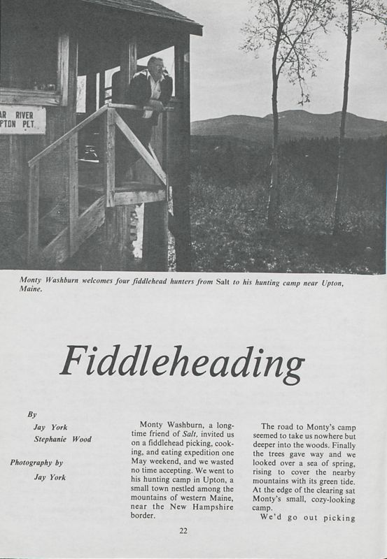Fiddleheading