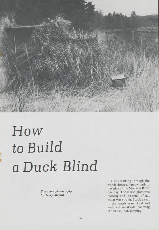 How to Build a Duck Blind
