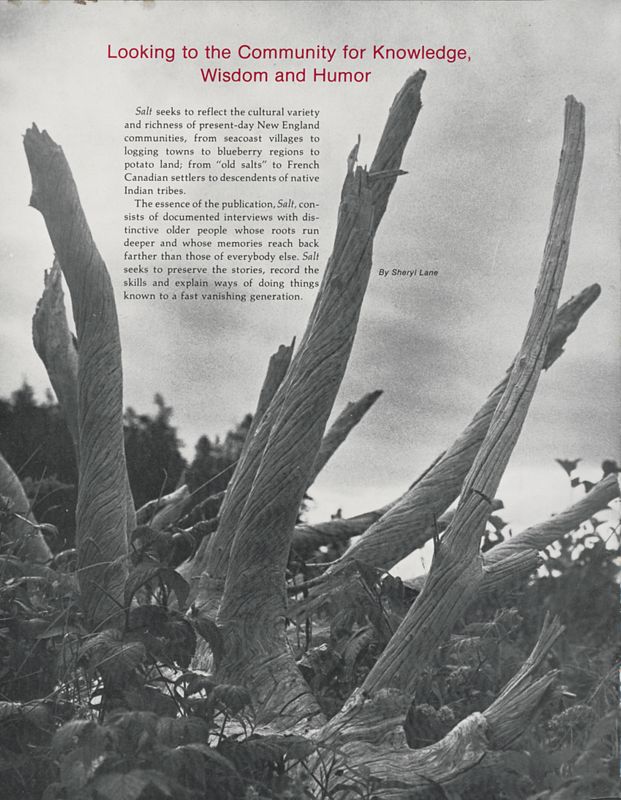 December 1978 Salt Magazine, Mission Statement