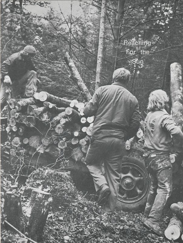 Reaching for the Sun