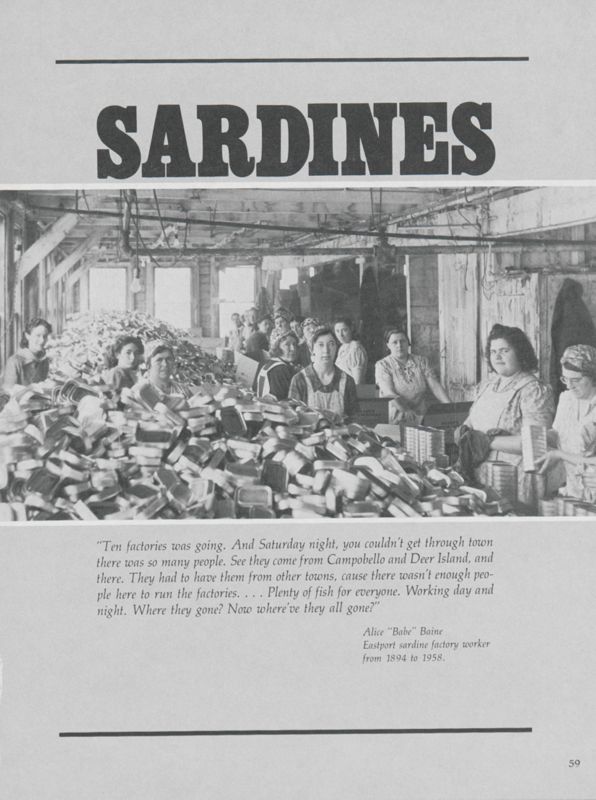 Sardines