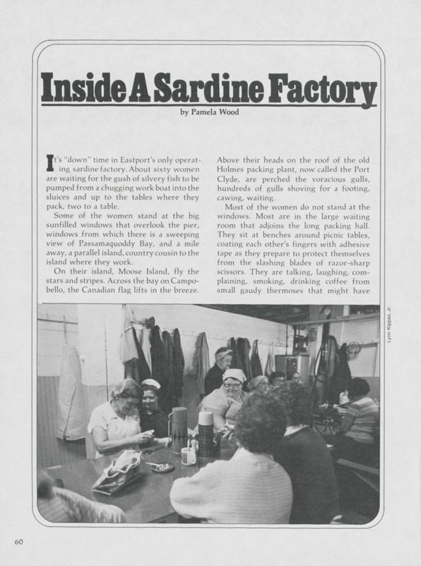 Inside a Sardine Factory