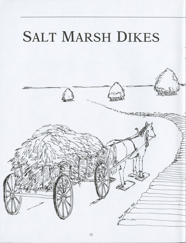 Salt Marsh Dikes