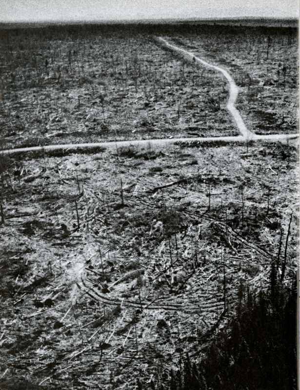 Fall of the Great North Woods