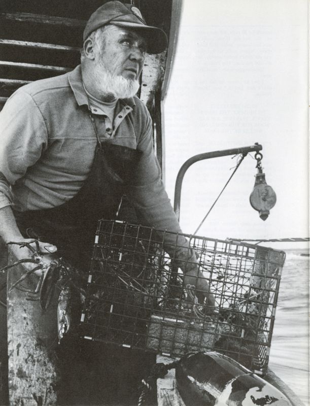 Selling the Folk: Marketing Maine Culture