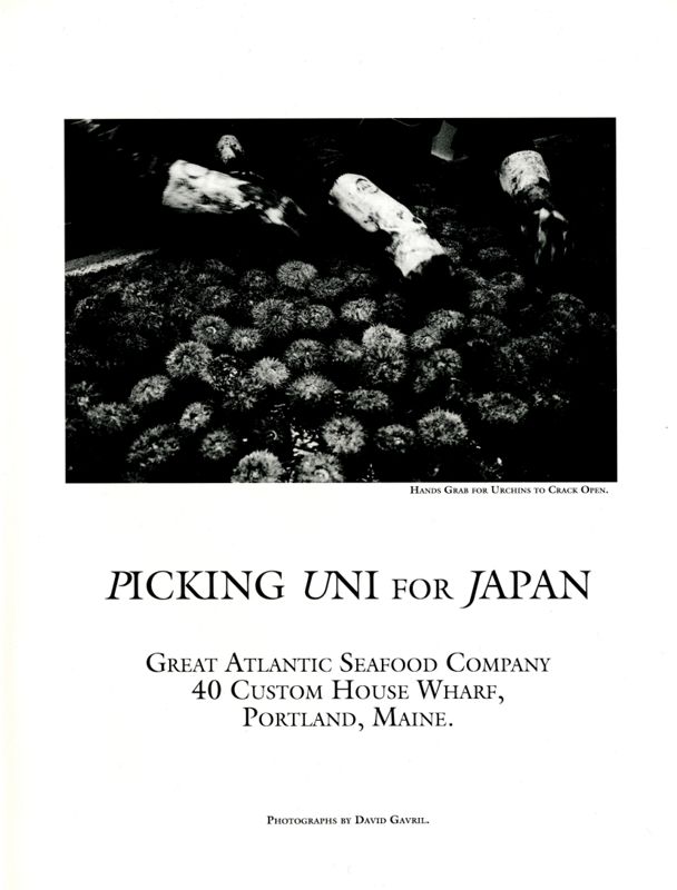 Picking Uni for Japan