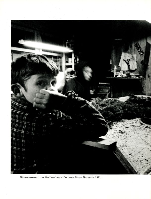 From Tree to Tip to Christmas Wreath