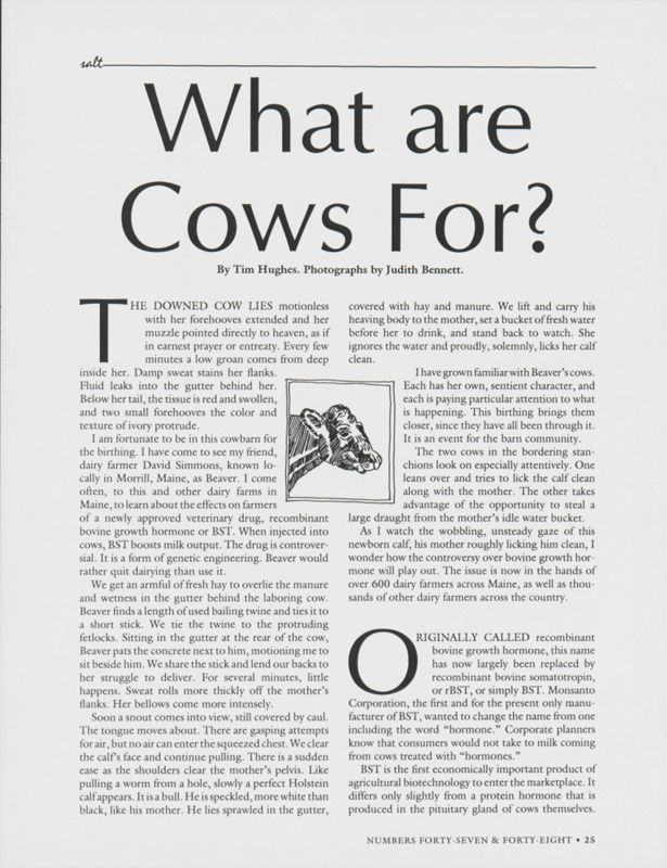 What are Cows For?