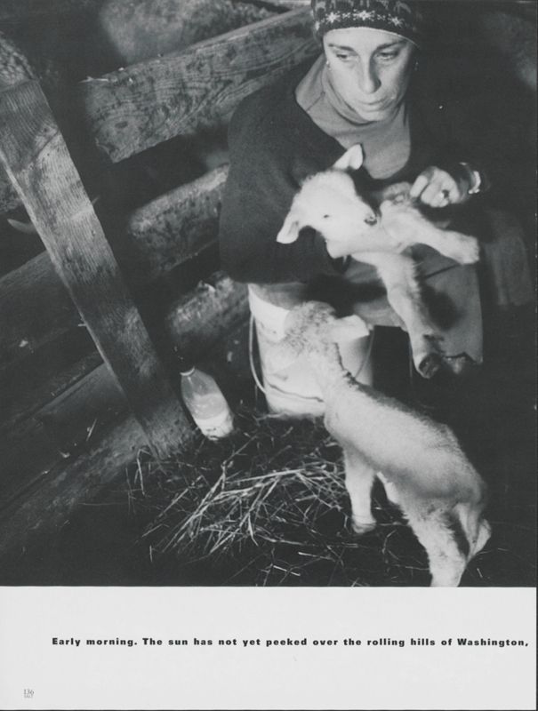 On the Farm with Nanney