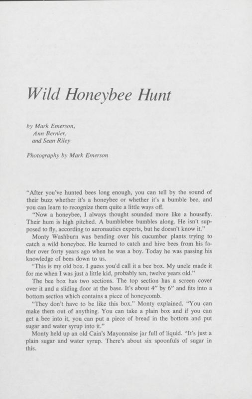 Wild Honeybee Hunt