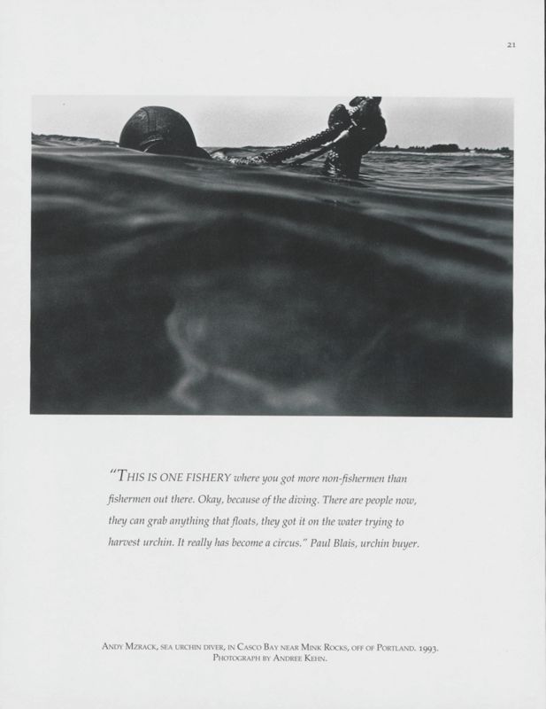 Sea Urchin Diver, Casco Bay, 1993
