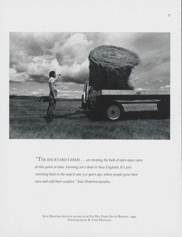 Haying Near Fox Hill Farm, South Berwick, 1992