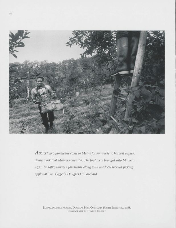 Jamaican Apple Pickers, South Bridgton, 1988