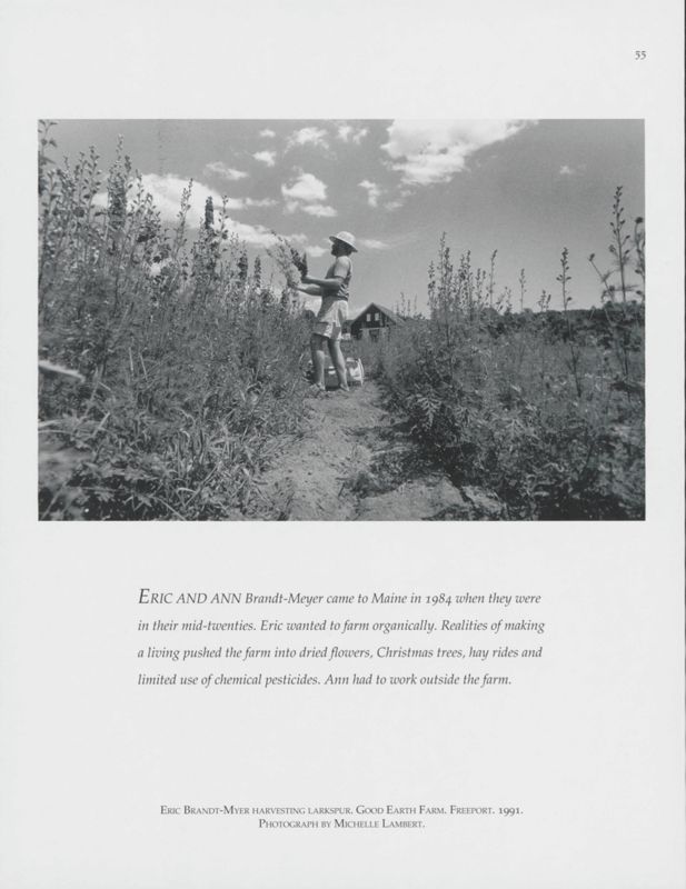 Harvesting Larkspur, Freeport, 1991