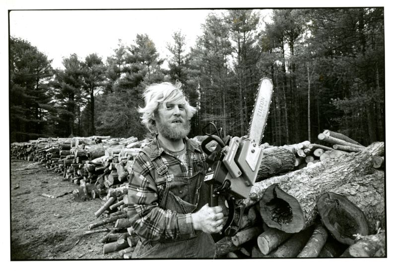 Reaching for the Sun Photographs