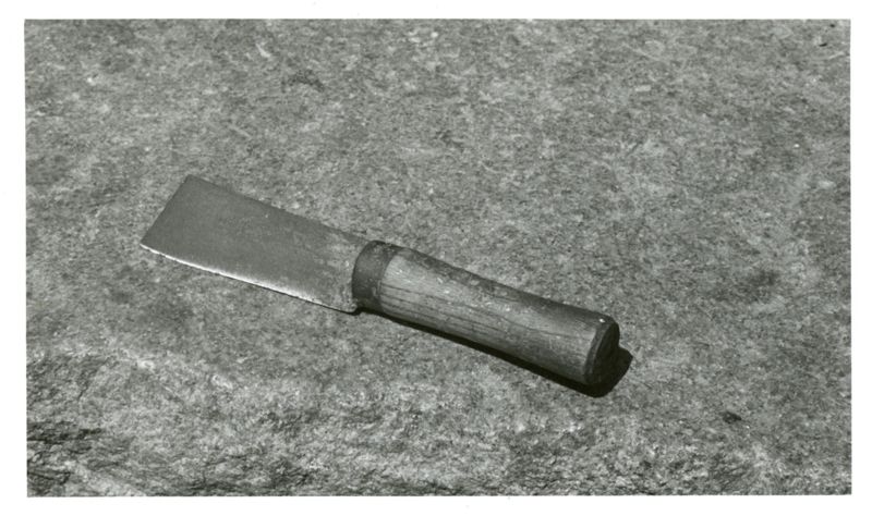 Nobody Cuts the Same Photographs