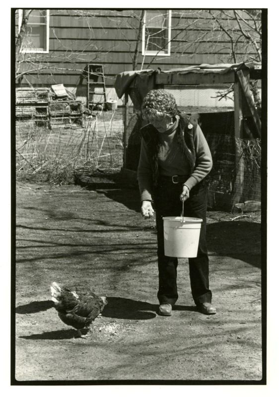 Closer to Nature - Helen Perley Photographs