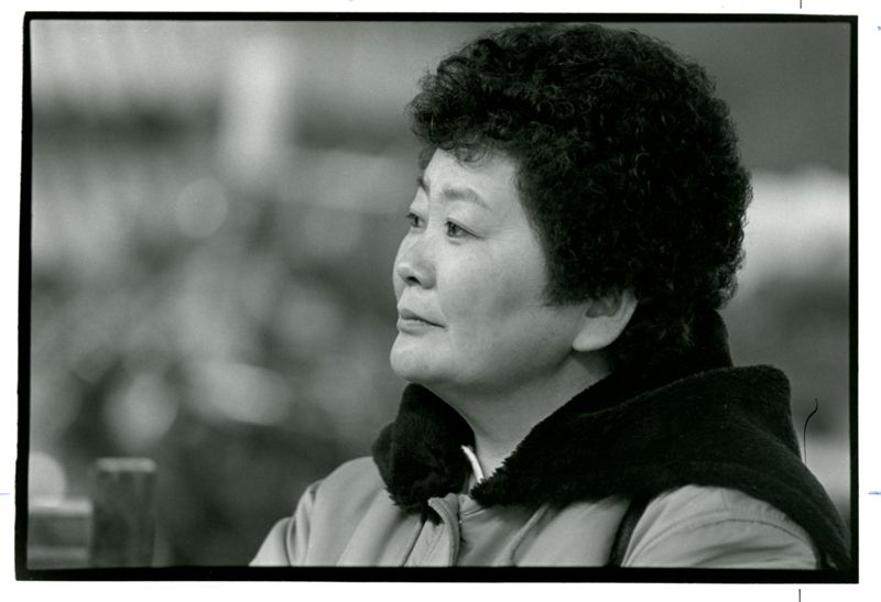 Suzuko Laplante, Japanese American Photographs