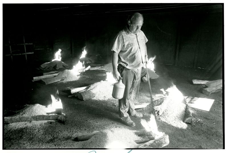 Smoking Herring (McCurdy's Smoke House, Lubec) Photographs