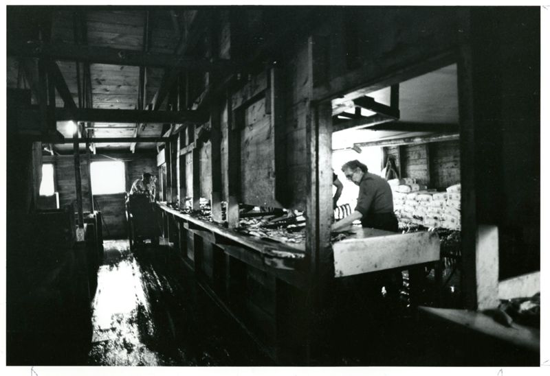 McCurdy's Smokehouse, Lubec Photographs