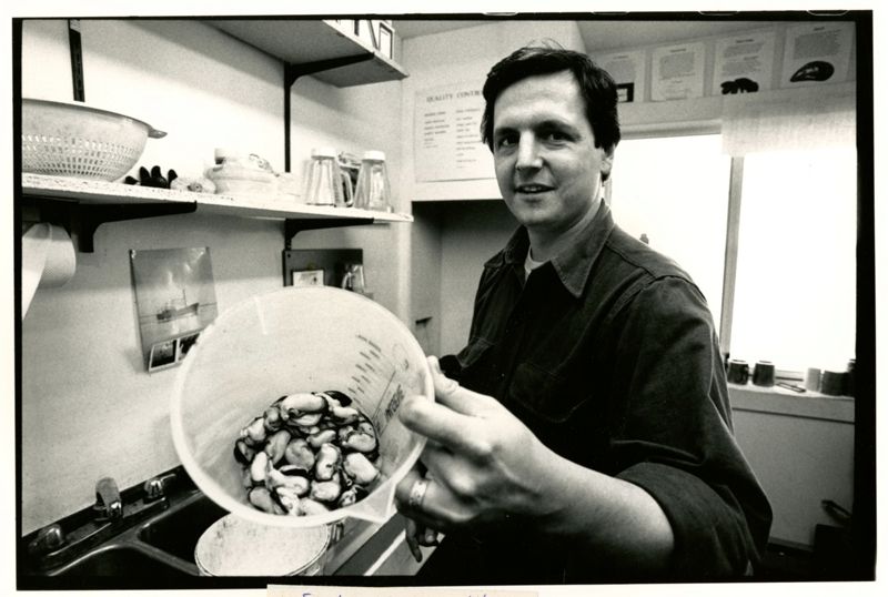 Fencing of the Sea -Tenant's Harbor Photographs