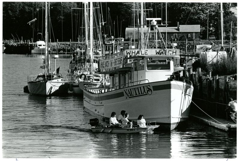 Seaside Tourism: Where Millions Meet on the Street Photographs