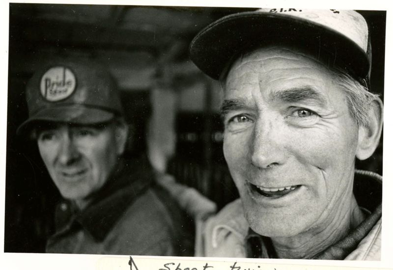 Dairy Farm, Vassalboro Photographs