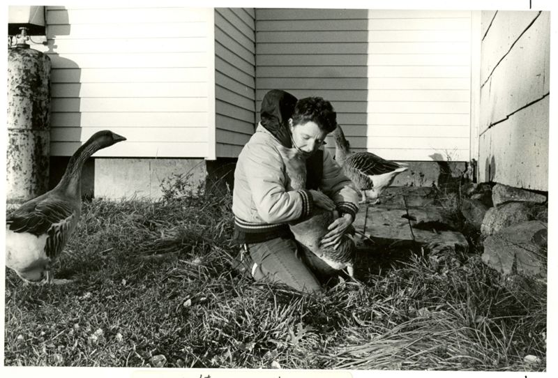 Portraits: Coping With Illiteracy Photographs